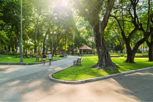 Image Example for park