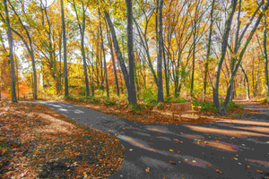 Image Example for path