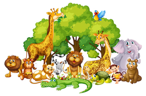 Image Example for animal