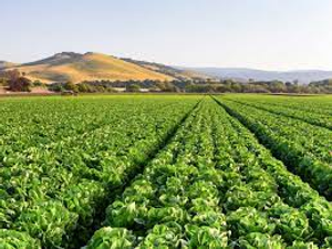 Image Example for farming