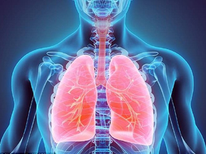 Image Example for lung