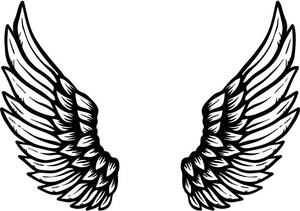 Image Example for wing