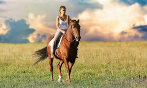 Image Example for horse riding