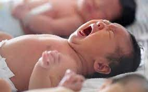 Image Example for born