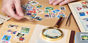 Image Example for collected