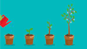 Image Example for grew