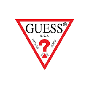Image Example for guess