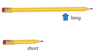 Image Example for long