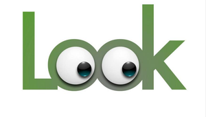 Image Example for look