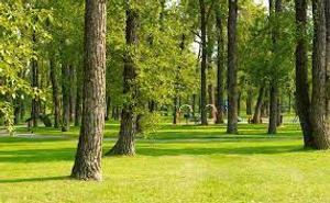 Image Example for park