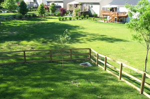 Image Example for yard
