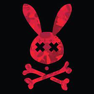 Image Example for bad