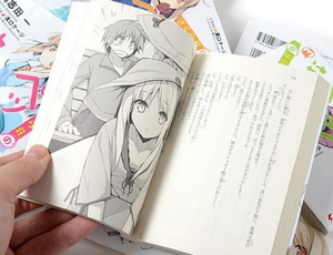 Image Example for novel