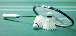 Image Example for badminton
