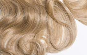 Image Example for blond