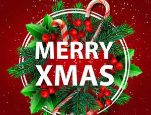 Image Example for Christmas