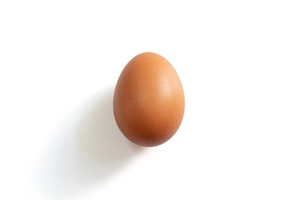Image Example for egg