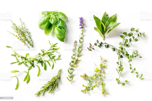 Image Example for herb