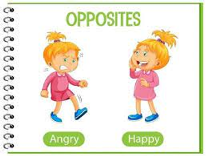 Image Example for opposite