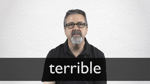 Image Example for terrible