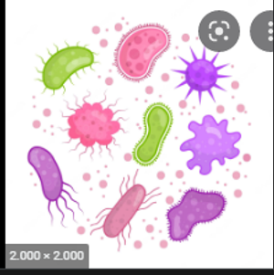 Image Example for bacteria