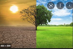 Image Example for climate