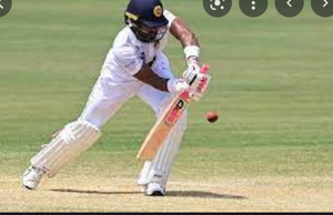 Image Example for cricket