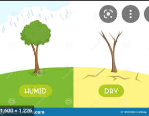 Image Example for humid