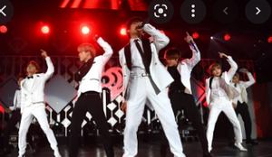 Image Example for perform