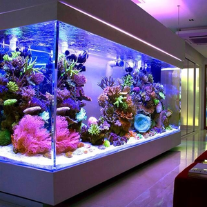 Image Example for aquarium