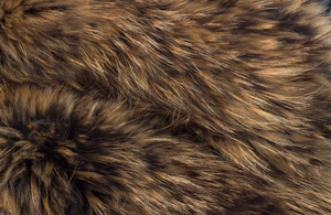 Image Example for fur