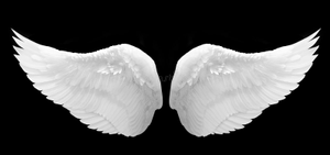 Image Example for wing
