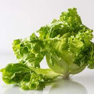 Image Example for lettuce