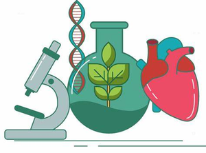 Image Example for biology