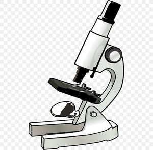 Image Example for microscope