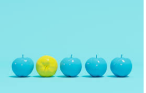 Image Example for contrast