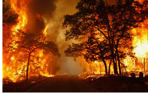 Image Example for disaster