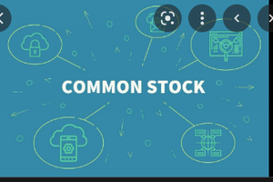 Image Example for common