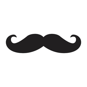 Image Example for mustache