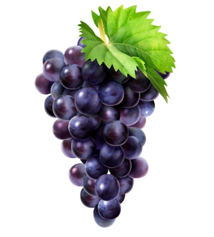 Image Example for grapes