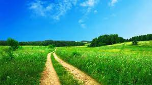 Image Example for outside