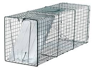 Image Example for trap