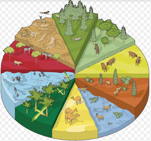 Image Example for habitats