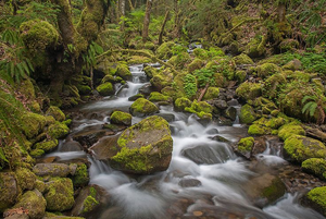 Image Example for run through