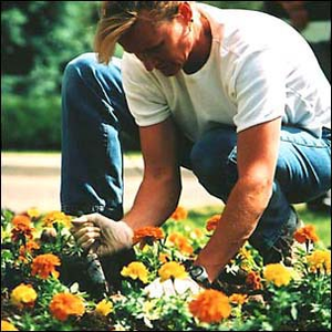 Image Example for gardening