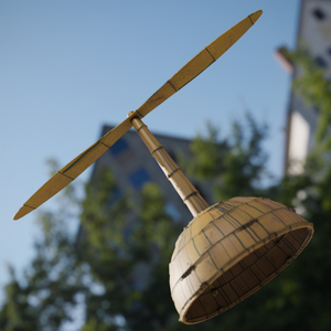 Image Example for bamboo-copter