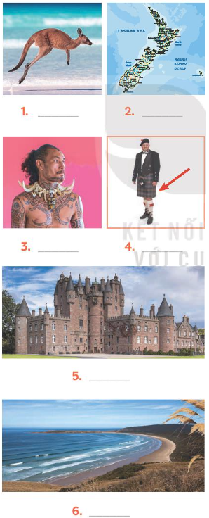 Tiếng Anh 7 Unit 12 A Closer Look 1 0 1