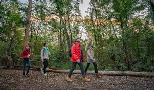 Image Example for bushwalking