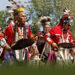 Image Example for native