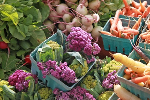 Image Example for coloured vegetables